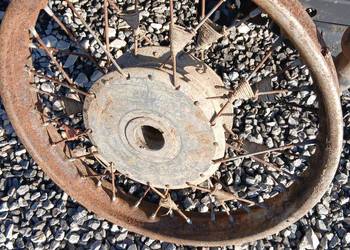 wsk kos kolo -perkoz