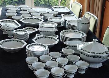 Rosenthal Maria Biała Agrest Winorośl Bluszcz Stachelbeere 88 elementów