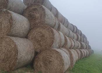 Słoma w kostkach w belach 130