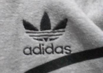 Bluza Adidas z kapturem