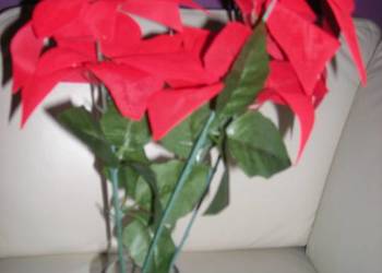 Gwiazda betlejemska sztuczna