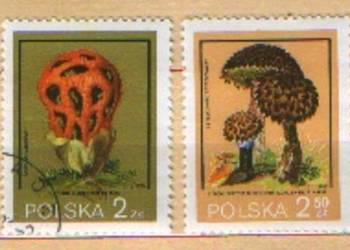 Zn. Fi 2545, 6, 8, 9 kas 1980