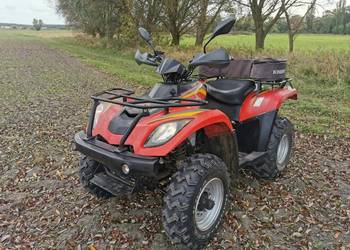 Quad Linhai 300 /homologacja l7e /hak