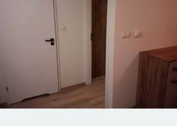 Nowe mieszkanie do wynajęcia