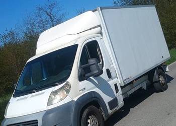 Wywóz mebli / opróżnianie mieszkań / odbiór gruzu / krzewów / transport