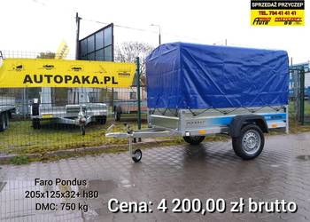 Przyczepa Faro Pondus 205x125 cm
