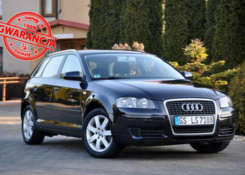 Audi A3 Sportback 1.9TDI(105KM)*Sportback*Welut*Klimatronik*Chrom*Reling*A…