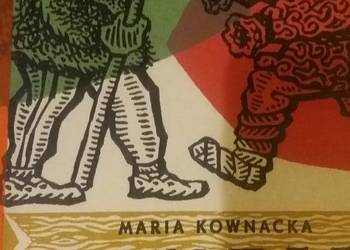 Szkoła nad obłokami Kownacka Wydawnictwo: Nasza Księgarnia