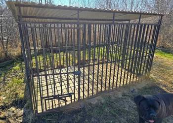 Kojec metalowy dla psa