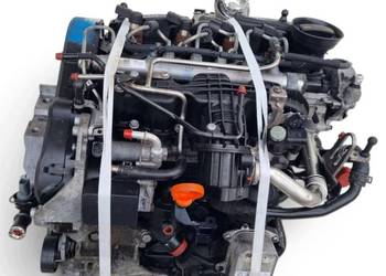 SILNIK BEZ OSPRZĘTU Seat Leon II 1.6 TDI 105KM ładnie pali CAY CAYC