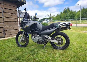Suzuki xf 650