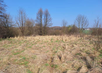 Działki rolne - Lgota k./Wadowic