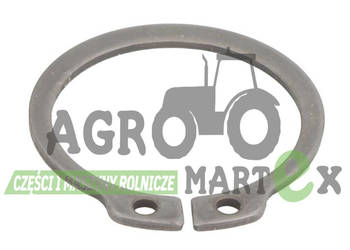 05/903807, 05-903807, 20/951595 ZABEZPIECZENIE SEGER JCB