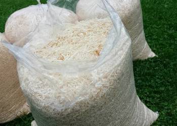 Trociny dla gryzoni OD STOLARZA 40L suche odpylone trocina worek do kurnika