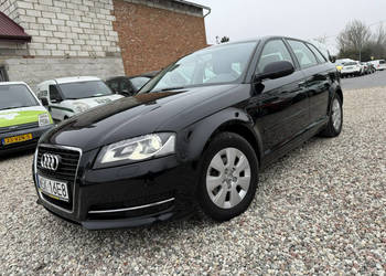 Audi A3 Sportback Audi A3 Lift 1.6Tdi 2012r Xenon Led Sportback Alufelgi H…