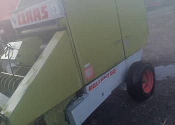 Sprzedam Prase Claas Rolans 62