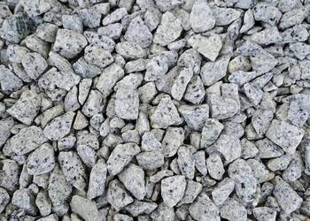 Grys granitowy (Dalmatyńczyk)