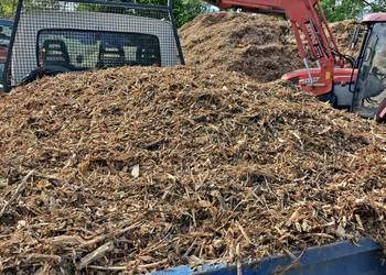 Zrębka Kraków, zrębki drzewne, transport mała wywrotka Kraków