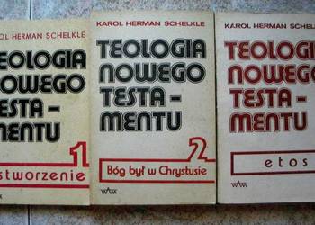 TEOLOGIA NOWEGO TESTAMENTU - SCHELKLE H.K.