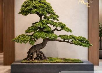 Sztuczne drzewko Bonsai Premium 210x80x160