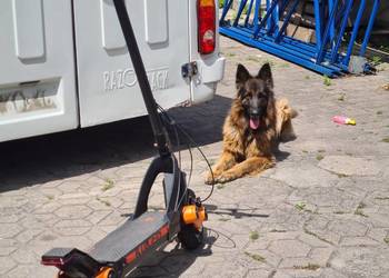 Hulajnoga Elektryczna Kukirin G3