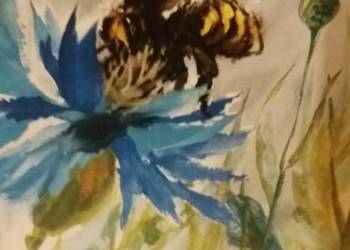 Wielkie prace małej pszczoły piękne książki dziecięce unikat