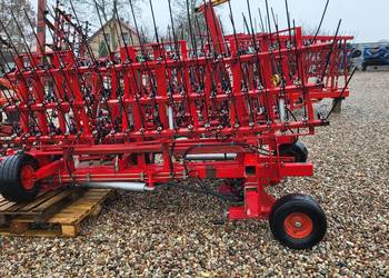 Chwastownik pielnik   12 zachodni