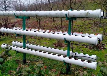 Konstrukcja na truskawki