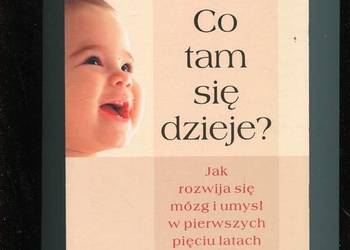 Co tam się dzieje Jak rozwija się mózg i umysł... Eliot