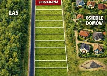 Jezioro Białe. Glinki. Okuninka.  Orchówek. Włodawa