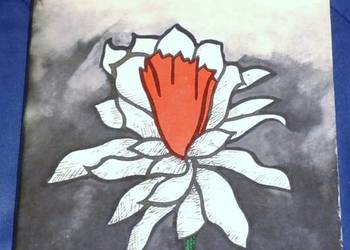 Nie zniszczeni przez grom - Józefa Radzymińska