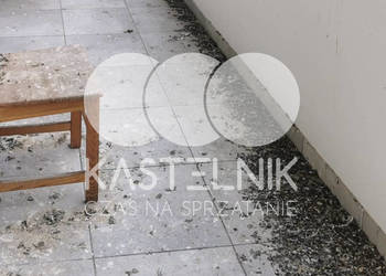 Sprzątanie po gołębiach Rzeszów – Kastelnik, mycie balkonów, strychów
