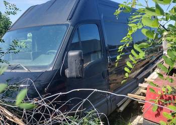 Iveco (sprawne)