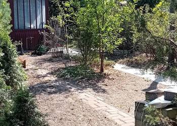 Działka ROD "Skowronek" Kajetany koło Nadarzyna - domek, łazienka, WC