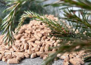 Jurków i okolice - Pellet sosnowy Drewnoland