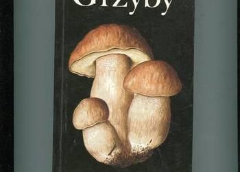 Grzyby - Aurel Dermek