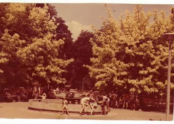 BUSKO ZDRÓJ PARK ZDROJOWY