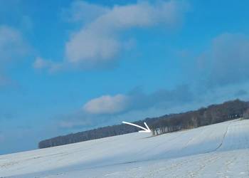 Działka leśna rolna