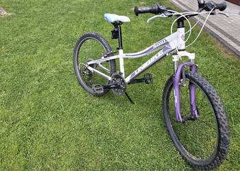 Rower unibike roxi 24 cale