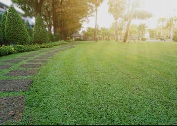 Koszenie usługi ogrodnicze