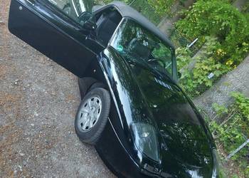 Fiat Barchetta-2 Renka