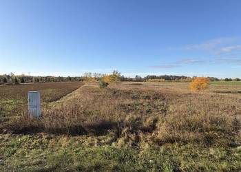 Syndyk sprzeda - Sworzyce