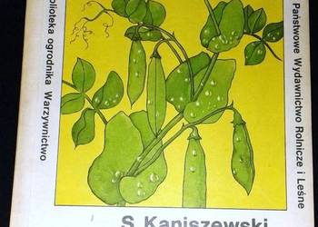 Nawadnianie warzyw - Stanisław Kaniszewski