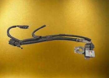 KLEMA MINUS MASA AG9N-10C679DC Ford S-MAX I (2006-2015) 6PK01039425