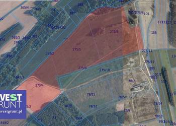 [6,86 ha] przetarg na dzierżawę gruntów rolnych