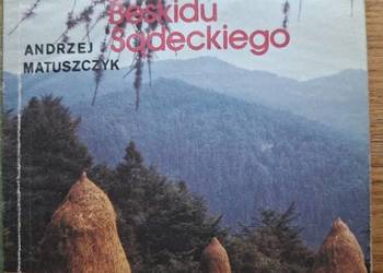 Pasmo Radziejowej Beskidu Sądeckiego- A. Matuszczyk