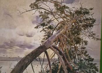 Żeromskiego książki Ludzie bezdomni antykwariat Bródno Praga