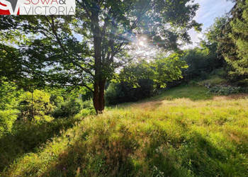 Ciekawa działka budowlana w górach w m. Jagniątków