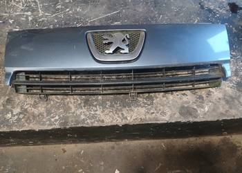 Grill atrapa  Peugeot Expert II  lak EZW