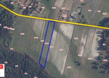 Działka 8000m2 Kluczewsko